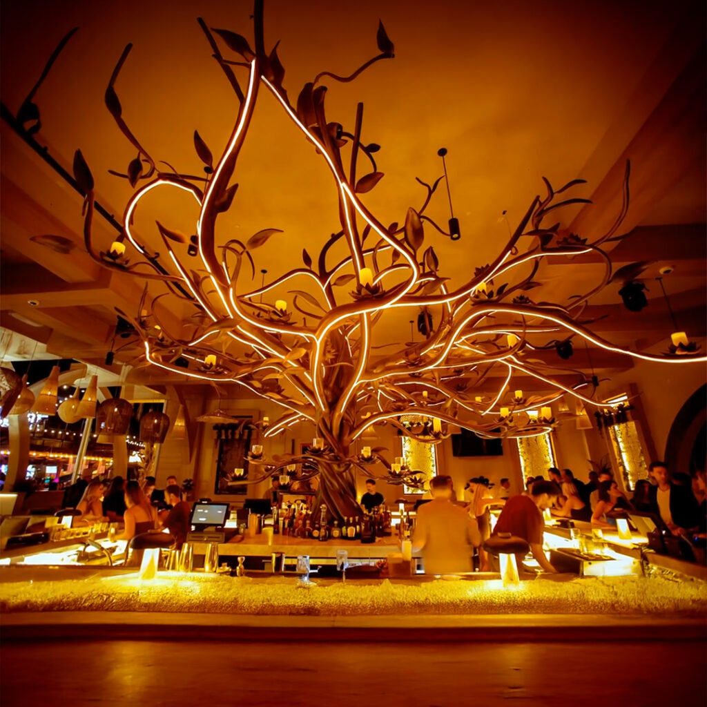 Maya Day + Night Tree with lights in the middle of the bar